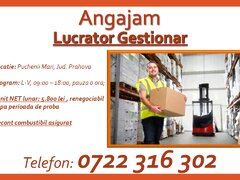 Lucrator Gestionar