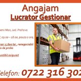 Lucrator Gestionar